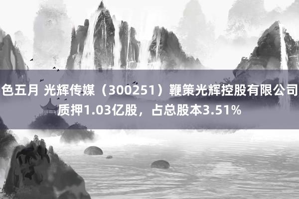 色五月 光辉传媒（300251）鞭策光辉控股有限公司质押1.03亿股，占总股本3.51%
