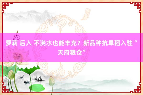 萝莉 后入 不浇水也能丰充？新品种抗旱稻入驻“天府粮仓”