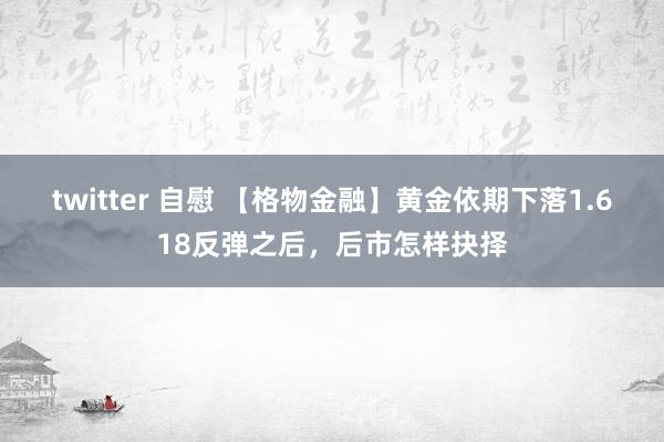 twitter 自慰 【格物金融】黄金依期下落1.618反弹之后，后市怎样抉择