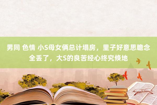 男同 色情 小S母女俩总计塌房，里子好意思瞻念全丢了，大S的良苦经心终究倏地