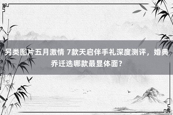 另类图片五月激情 7款天启伴手礼深度测评，婚典乔迁选哪款最显体面？