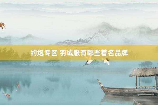 约炮专区 羽绒服有哪些着名品牌