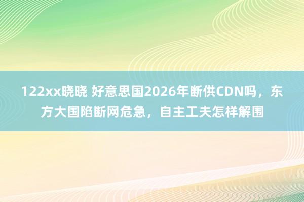 122xx晓晓 好意思国2026年断供CDN吗，东方大国陷断网危急，自主工夫怎样解围