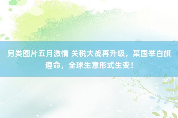 另类图片五月激情 关税大战再升级，某国举白旗遵命，全球生意形式生变！