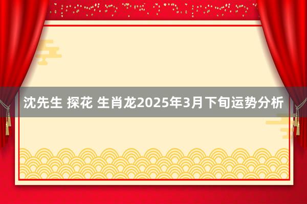 沈先生 探花 生肖龙2025年3月下旬运势分析