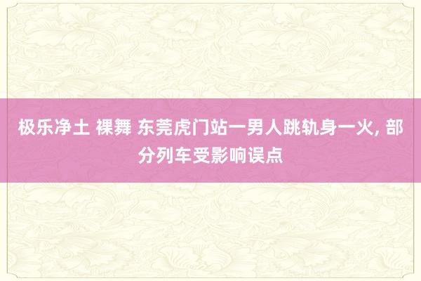 极乐净土 裸舞 东莞虎门站一男人跳轨身一火, 部分列车受影响误点