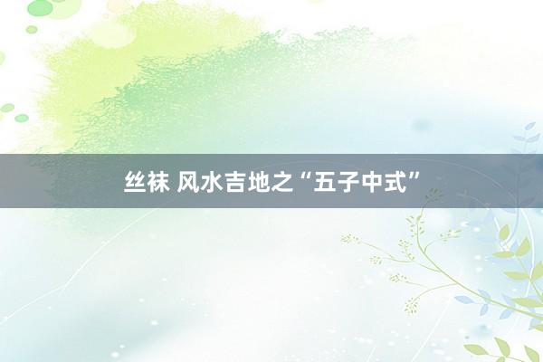 丝袜 风水吉地之“五子中式”