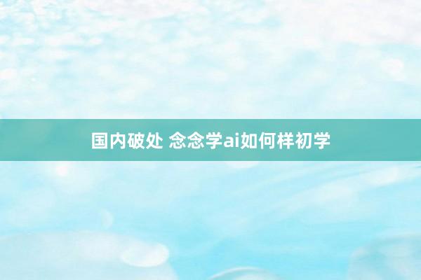 国内破处 念念学ai如何样初学