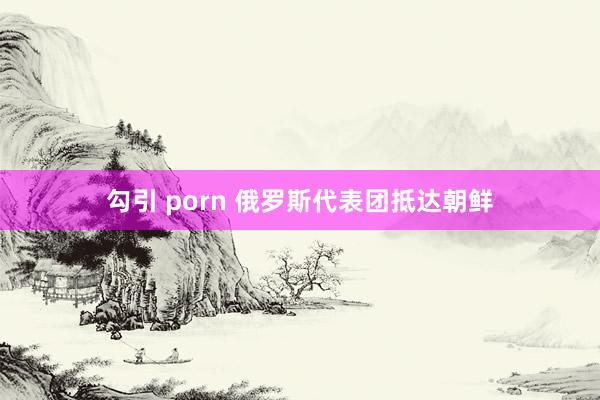 勾引 porn 俄罗斯代表团抵达朝鲜