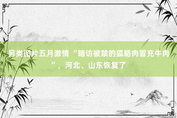 另类图片五月激情 “暗访被禁的狐貉肉冒充牛肉”，河北、山东恢复了